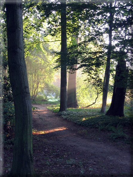 foto Alba al Parco Karlsaue